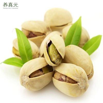 China China wholesale antep tree squirels import export dry pistachio kilo nuts white pistachios for sale