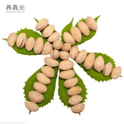 China High Quality Raw Organic Nuts Porcelain Nuts Dried Pistachio for sale