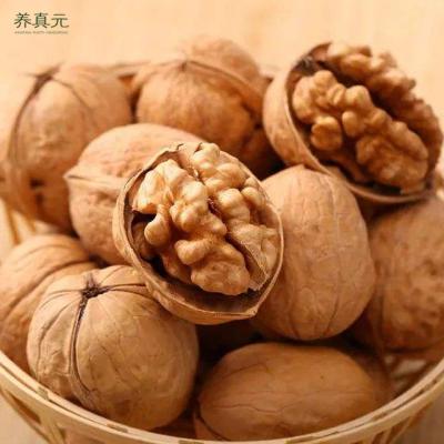 China Dried Raw Walnut Shell Blanched Walnut In Shell Price Chinese for sale