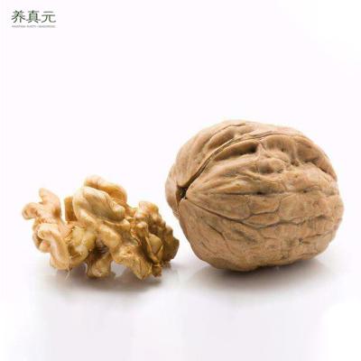 China China dry wholesale raw urumchi dried walnut in shell for sale