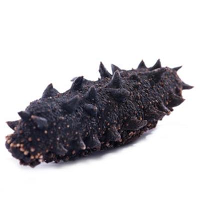 China Nutritious Dry Sea Cucumber Dry Sea Cucumber Price for sale