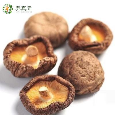 China Dried Shiitake Mushroom Price Dried Magic Mushrooms Dried 1kg for sale