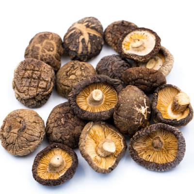 China Dry air dried black fungus for sale