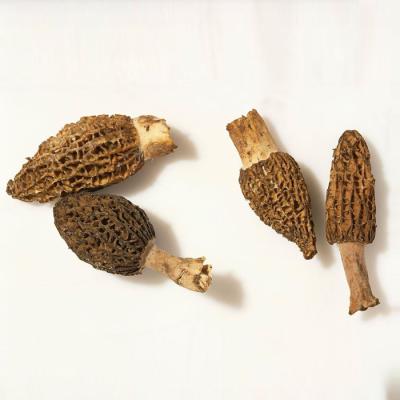 China Dry Frozen Dried Nightshade Mushroom for sale