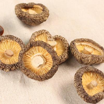 China Dry china dried shiitake mushroom ingredient for sale