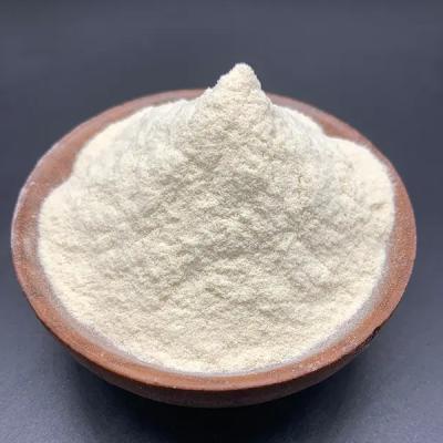 China Puur chitosanpoeder / Chitosan Cas nr. 9012-76-4 Dichtheid 1,0 G/Cm3 Te koop