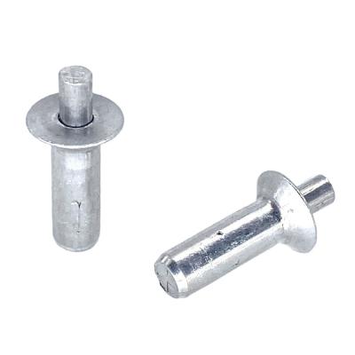 China Universal Aluminum / Steel Steel Flat Round Drive Pin Head Hammer Rivets for sale