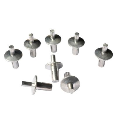 China Main Drive Pin Rivets Aluminum Drive Steel Flange Rivets for sale