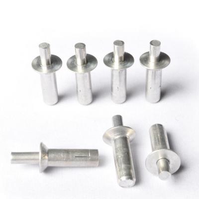 China Stainless Steel Factory Wholesale Customization Drive Rivet Hammer Drive Made Aluminum Head Rivets for sale