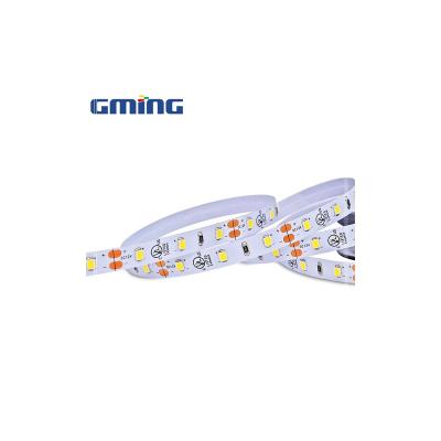 China Garden ; Hotel ; 2022 New Home Decor 2835 LED Warranty Years 3 5 Meter DC 24V DC 12V LED Strip Lights For Home Lighting for sale