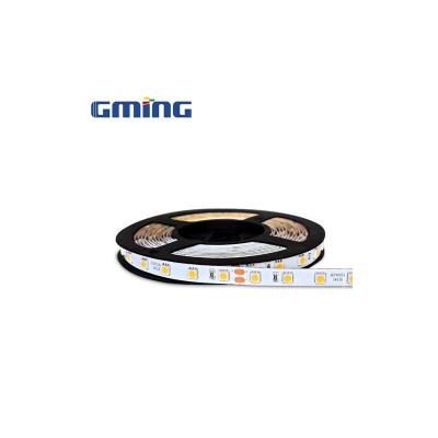 China Garden ; Hotel ; Home Supply Decor Ground SMD5050 LED 2900K 6500K FPC Led Rope Light For Lighting Decoration for sale