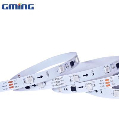 China 2022 Garden China Factory 12v High Quality 30Led RGB Tape Light 24v 5050 RGB Led Strips With Outdoor for sale