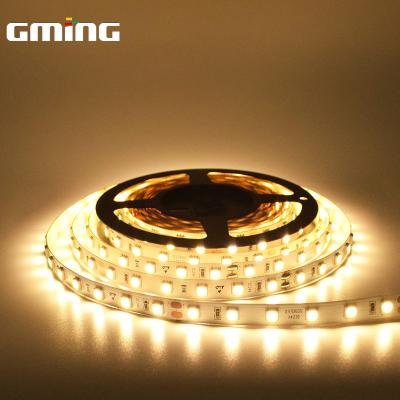 China Garden ; Hotel ; Home Decor Alibaba China Golden Supplier Dc24v 12v 12w Led Strip For Room Decor Lights for sale