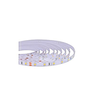 China Garden ; Hotel ; Professional manufacturer cheap home decor factory price remote control 4.8W led strip light for ceiling for sale