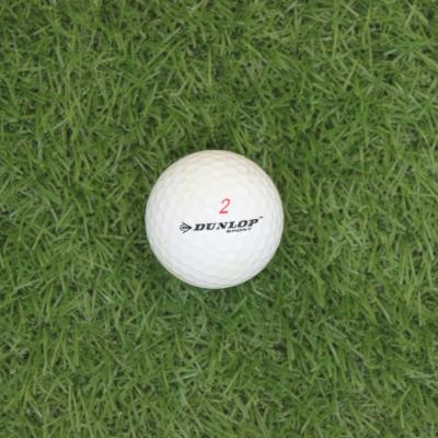 China Golf Course For Practice Practice Golf Ball Recycled From Golf Course for sale