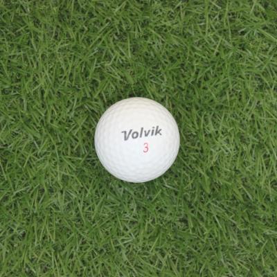 China Golf Course For Practice Wholesale Pick Out Golf Ball for sale