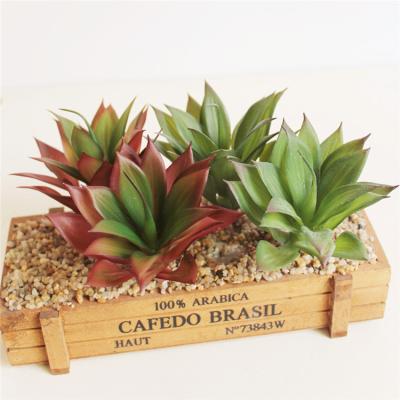 China home & DIY Indoor Artificial Plant Fake Succulents Garden Decoration Unpotted Flower Arrangement Accessories For Office Decoration for sale