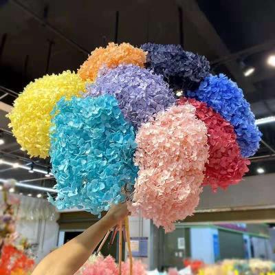 China Real Modern Natural Fresh Petals Dried Flower Bouquet Arrangements Decoration Dried Flowers For Candle Making for sale