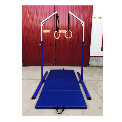 China Flying Steel Ring Equipment Gymnastics Kids Gym Wood Wooden Ring for sale