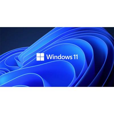 China Windows 11 Pro Professional COA Sticker Red Color /Windows 11 6 Months Warranty DHL Free Shipping Windows 11 for sale