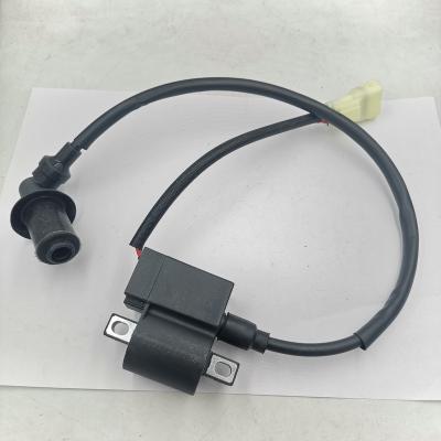 China Plastic+metal Auto Parts Ignition Coil Pack Premium High End High Voltage Spark Plug Coil for sale