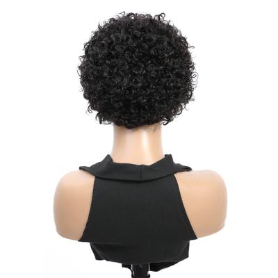 China Adjustable Strap and 3 Combs XCCOCO Lace Up Brazilian Remy Hair Pixie Cut Human Hair Wig Jerry Curl Pixie Cut Wig Color Front Women Human Hair Wigs For for sale