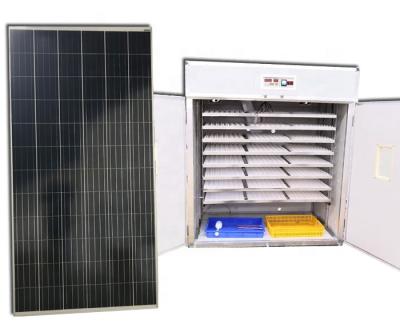 China Full Automatic 2000 Digital Chicken Egg Incubator Solar Egg Incubator Automatic Chicken Egg Incubator With Solar Zimbabwe for sale