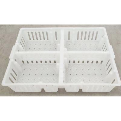 China Folding Manufacturers Supply Clapboard Type Chicken Turnover Box Thickened Stackable Chicks for sale