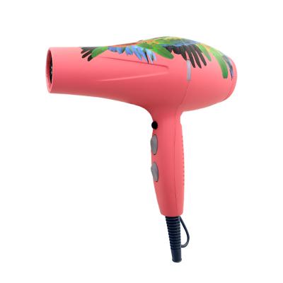 China Other commercial high power hair dryer salon equipment professional powerful hair dryer for sale