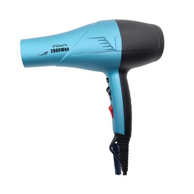 China Other Professional Ionic Salon Hood Blow Dryer Barber Blow Dryer Hair Blow Dryer for sale