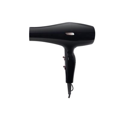 China Other Professional Salon Hair Dryer Ionic Fast Blow Dryer Hanging Hook Hair Dryer High Speed ​​Brushless Hair Dryer for sale