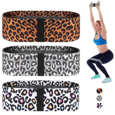 China Fitness Equipment APP Amazon Hot Sale Yoga Strength Cloth Pull Ups Hip Resistance Bands With Carry Case for sale