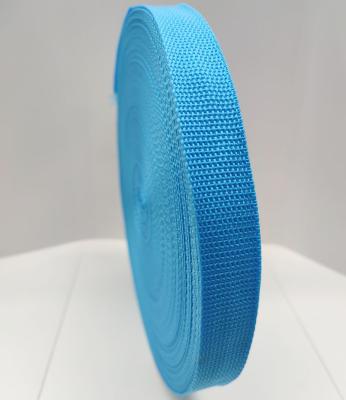 China Sustainable 25mm PP/ Polypropylene Binding Tape Webbing for Bag/Backpack/Garment/Clothing Accessories, Safety Seat Belt Strap for sale