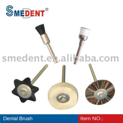 China Nylon or animal hair etc. Prophy brush brush nylon or spare bristle or dental wool / polishing brush for sale