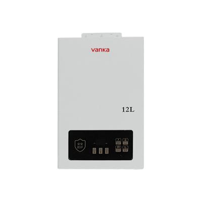 China 220V Wall-Mounted Gas Instant Water Heater Tankless Household for sale