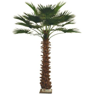 China Large Fiberglass Coconut Tree 3M-10m Wholesale Outdoor Fiberglass Artificial Coconut Tree Artificial Coconut Tree for sale