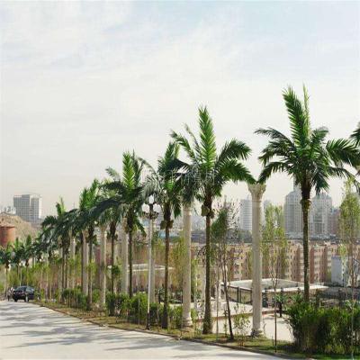 China Wholesale Artificial Outdoor Fiberglass Coconut Palm 3m Palm Tree Artificial Coconut Palm Tree for sale