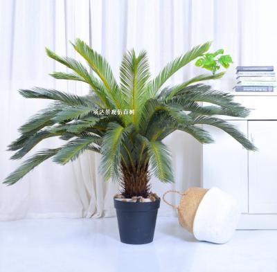 China Fiberglass Outdoor Artificial Palm Tourist Palm Tree for sale