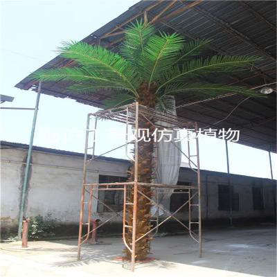 China Fiberglass can be outdoor artificial palm tree decorated malls for sale