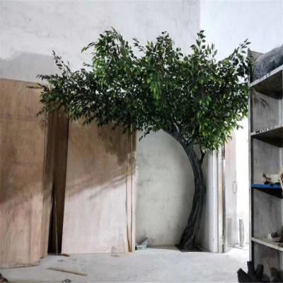 China Wholesale Fiberglass Outdoor Plant Artificial Coconut Palm Tree for sale