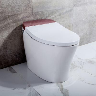 China Automatic operation electric smart toilet system with two kands of toilet spray guns to chose for sale