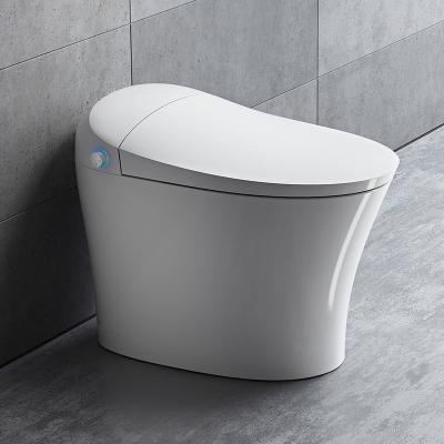 China Custom Indoor Family Use Wash Function Pulse Self Cleaning Smart Ceramic Bidet Toilet for sale