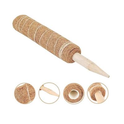 China Eco-Friendly Pole Totem Moss Kit Containers Handmade Tetum Coir Moss Pole Plant Stick Coconut Fiber Coir for sale