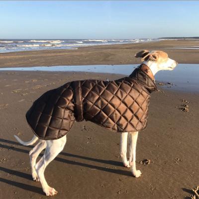 China Qiqu Pet Manufacturer Dog Clothes Durable Warm Clothing Greyhound Waterproof Winter Quilted Coats Fleece Lined With A Short Neck for sale