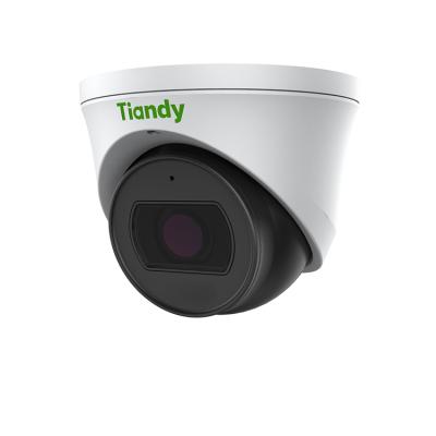 중국 NIGHT VISION Tiandy High Performance 2MP 30m IR ip67 Dome Camera POE IP Camera MIC Built in Security CCTV Camera 판매용