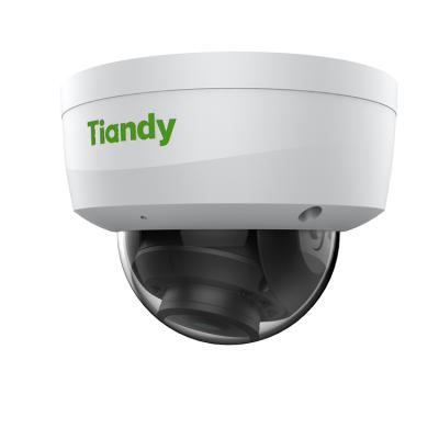 Κίνα NIGHT VISION Tiandy Metal+Plastic housing waterproof IP camera surveillance IP67 IK10 2MP poe dome cctv camera προς πώληση