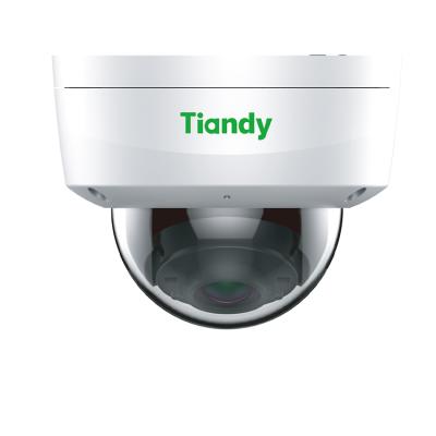 China Tiandy 2mp 30m IR NIGHT VISION High Quality MIC P67 IK10 Motion Detection Low Price Hidden PoE CCTV Camera for sale