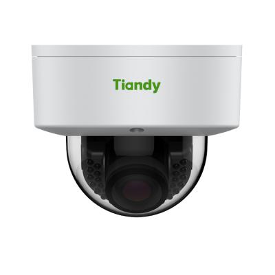 China Hot-selling Tiandy 5MP NIGHT VISION Built in Mic Indoor Dome POE Face Capture Motion Detection CCTV IP Camera Two Way Scary Audio for sale