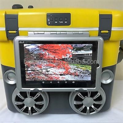 China wireless wireless speaker with cooler box for sale