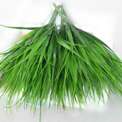 China Partition Indoor Decoration Artificial Plastic Leaves Green Plants From China Supplier for sale